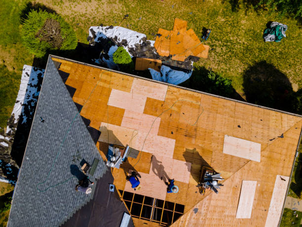 Best Gutter Installation and Roofing  in Vineyards, FL